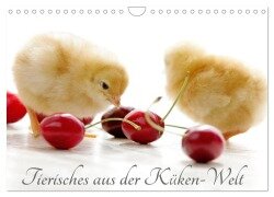 Tierisches aus der Küken-Welt (Wandkalender 2025 DIN A4 quer), CALVENDO Monatskalender - Tanja Riedel