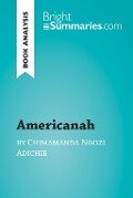 Americanah by Chimamanda Ngozi Adichie (Book Analysis) - Bright Summaries