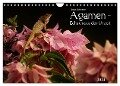 Agamen - Echsen aus der Urzeit (Wandkalender 2024 DIN A4 quer), CALVENDO Monatskalender - Bianca Schumann