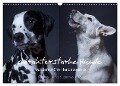 charakterstarke Hunde, wunderschöne Hundeportraits (Wandkalender 2024 DIN A3 quer), CALVENDO Monatskalender - Susanne Stark Sugarsweet - Photo