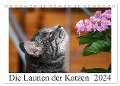 Die Launen der Katzen 2024 (Tischkalender 2024 DIN A5 quer), CALVENDO Monatskalender - Anna Kropf