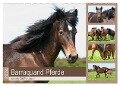 Barraquand Pferde - seltene Südfranzosen (Wandkalender 2024 DIN A2 quer), CALVENDO Monatskalender - Meike Bölts
