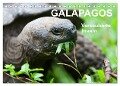 Galapagos. Verzauberte Inseln (Tischkalender 2024 DIN A5 quer), CALVENDO Monatskalender - Sabine Reuke