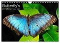 Butterfly's - Schmetterlinge für Zuhause (Wandkalender 2024 DIN A4 quer), CALVENDO Monatskalender - Uwe Bade