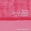 Émile Zola Lib/E: A Very Short Introduction - Brian Nelson