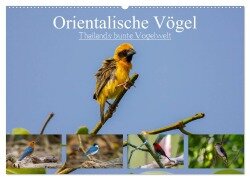 Orientalische Vögel - Thailands bunte Vogelwelt (Wandkalender 2025 DIN A2 quer), CALVENDO Monatskalender - Arne Wünsche