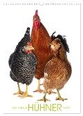 Kunterbunte Hühner Truppe (Wandkalender 2024 DIN A3 hoch), CALVENDO Monatskalender - Judith Kiener - DoraZett