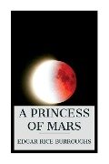 Cover-Bild zum Titel 'A Princess of Mars' von 'Edgar Rice Burroughs'