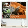 Schildkröten - Gepanzerte Urzeitwesen (hochwertiger Premium Wandkalender 2024 DIN A2 quer), Kunstdruck in Hochglanz - Barbara Mielewczyk