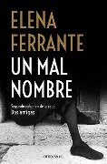 Un Mal Nombre / The Story of a New Name - Elena Ferrante