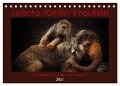 Tierische PORTRAITS hautNAH (Tischkalender 2024 DIN A5 quer), CALVENDO Monatskalender - Antje Wenner-Braun