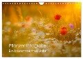 Pflanzenfotografie - Ein blütenreiches Jahr (Wandkalender 2024 DIN A4 quer), CALVENDO Monatskalender - Roman Pohl