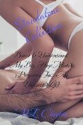Cover-Bild zum Titel 'Boxset (1-Unintentional, 2-My Big, Huge Mistake, 3-Purgatory, Inc., 4-An Unexpected Life)' von 'M. E. Clayton'