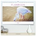 Flamingos - imposante Schönheiten (hochwertiger Premium Wandkalender 2024 DIN A2 quer), Kunstdruck in Hochglanz - Liselotte Brunner-Klaus