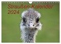 Straußen-Kalender 2024 (Wandkalender 2024 DIN A4 quer), CALVENDO Monatskalender - Bernd Witkowski