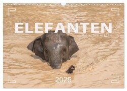 ELEFANTEN Jumbos der Herzen (Wandkalender 2025 DIN A3 quer), CALVENDO Monatskalender - Mario Weigt