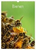 Bienen (Wandkalender 2024 DIN A3 hoch), CALVENDO Monatskalender - Mark Bangert