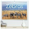 Zebras - Die gestreiften Vierbeiner. (hochwertiger Premium Wandkalender 2025 DIN A2 quer), Kunstdruck in Hochglanz - M. Scott