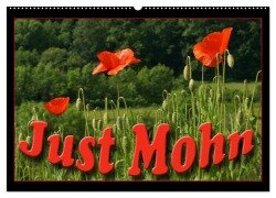 Cover-Bild zum Titel 'Just Mohn (Wandkalender 2026 DIN A2 quer), CALVENDO Monatskalender' von 'Flori Flori0'