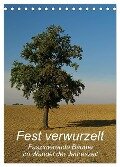 Fest verwurzelt - Faszinierende Bäume im Wandel der Jahreszeit (Tischkalender 2024 DIN A5 hoch), CALVENDO Monatskalender - Brigitte Deus-Neumann