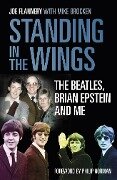 Standing in the Wings - Joe Flannery