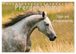 Pferdehaltung Tipps und Wissenswertes (Tischkalender 2025 DIN A5 quer), CALVENDO Monatskalender - Meike Bölts