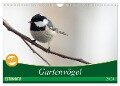 Gartenvögel (Wandkalender 2024 DIN A4 quer), CALVENDO Monatskalender - Samashy Romy Schötz