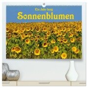 Ein Jahr lang Sonnenblumen (hochwertiger Premium Wandkalender 2026 DIN A2 quer), Kunstdruck in Hochglanz - Anke van Wyk - www. germanpix. net