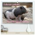 Schwein gehabt! (hochwertiger Premium Wandkalender 2024 DIN A2 quer), Kunstdruck in Hochglanz - Antje Lindert-Rottke