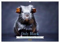 Only Black (Wandkalender 2026 DIN A2 quer), CALVENDO Monatskalender - Daniela Tapper