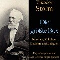 Cover-Bild zum Titel 'Theodor Storm: Die größte Box' von 'Theodor Storm'