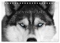 Faszination Husky (Tischkalender 2024 DIN A5 quer), CALVENDO Monatskalender - Of Snow Wolf Valley