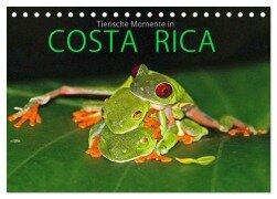 COSTA RICA - Tierische Momente (Tischkalender 2025 DIN A5 quer), CALVENDO Monatskalender - Michael Matziol