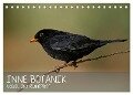 INNE BOTANIK - Vögel im Ruhrpott (Tischkalender 2024 DIN A5 quer), CALVENDO Monatskalender - Alexander Krebs