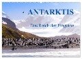 Antarktis - Das Reich der Pinguine (Wandkalender 2024 DIN A2 quer), CALVENDO Monatskalender - Max Steinwald