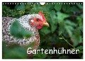 Gartenhühner (Wandkalender 2024 DIN A4 quer), CALVENDO Monatskalender - Britta Ohm