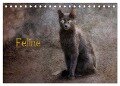 Feline (Tischkalender 2024 DIN A5 quer), CALVENDO Monatskalender - Claudia Möckel Lucy L!u