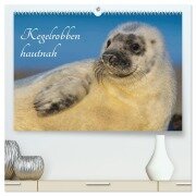 Kegelrobben hautnah (hochwertiger Premium Wandkalender 2026 DIN A2 quer), Kunstdruck in Hochglanz - Sigrid Starick
