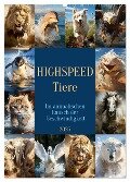 Highspeed Tiere (Wandkalender 2025 DIN A2 hoch), CALVENDO Monatskalender - Cathrin Illgen