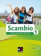 Cover-Bild zum Titel 'Scambio B 1 Grammatisches Beiheft' von 'Martin Stenzenberger'