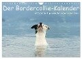 Der Bordercollie-Kalender (Wandkalender 2024 DIN A4 quer), CALVENDO Monatskalender - Kathrin Köntopp