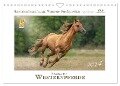 Faszination Westernpferde (Wandkalender 2024 DIN A4 quer), CALVENDO Monatskalender - Martina Wrede - Wredefotografie
