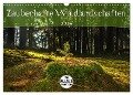 Zauberhafte Waldlandschaften (Wandkalender 2024 DIN A3 quer), CALVENDO Monatskalender - Marcel Wenk