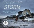 Eye of the Storm - Amy Cherrix