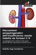 Meccanismi eziopatogenetici dell'insufficienza renale indotta da farmaci C-V - Rodolfo Vega Candelario