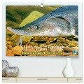 Karpfen, Barbe, Stör: Fische in europäischen Gewässern (hochwertiger Premium Wandkalender 2024 DIN A2 quer), Kunstdruck in Hochglanz - Calvendo Calvendo
