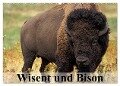Wisent und Bison (Wandkalender 2024 DIN A2 quer), CALVENDO Monatskalender - Elisabeth Stanzer