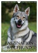 Cover-Bild zum Titel 'Faszination Wolfhund (Wandkalender 2026 DIN A4 hoch), CALVENDO Monatskalender' von 'Sigrid Starick'