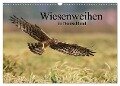Wiesenweihen in Deutschland (Wandkalender 2024 DIN A3 quer), CALVENDO Monatskalender - Martin Wenner