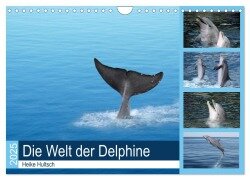 Cover-Bild zum Titel 'Die Welt der Delphine (Wandkalender 2025 DIN A4 quer), CALVENDO Monatskalender' von 'Heike Hultsch'